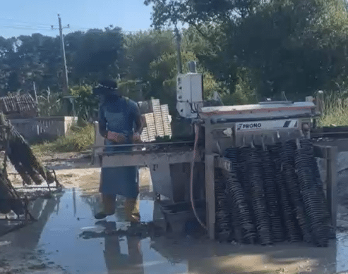 Machine à détroquer le naissain